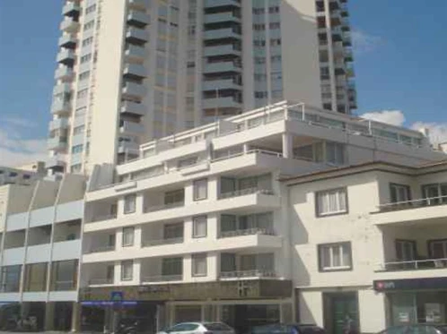 Gaivota