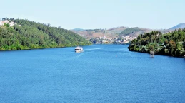 Douro 41 (ex - Rio Douro Hotel and Spa) - Photo 2