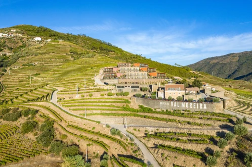 Vila Gale Douro Vineyards